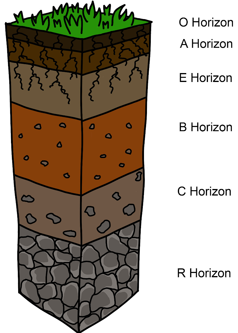 unweathered bedrock is the R Horizon