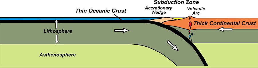 subduction is the process by which heavier oceanic crust is squeezed beneath lighter continental crust