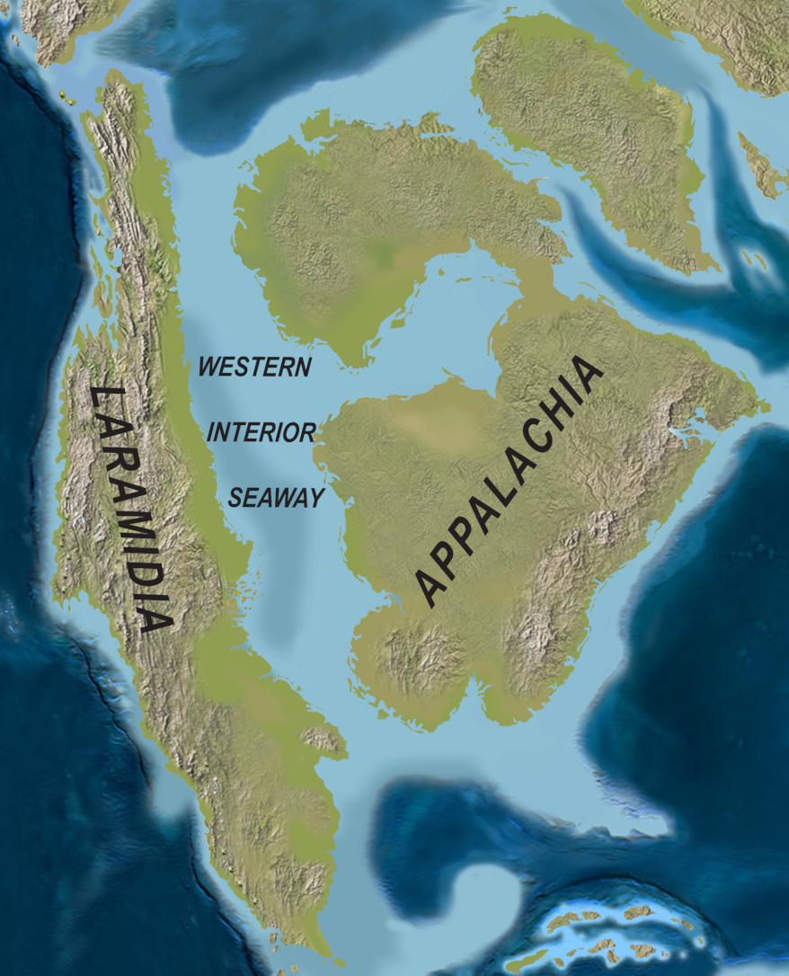 the Western Interior Seaway separated Appalachia from Laramidia, the territory of Tyrannosaurus rex after it evolved during the Cretaceous Period