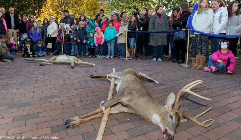 Pamunkey and Mattaponi leaders provided two deer to the governor in 2016 - and he joked with the chiefs about which deer was larger