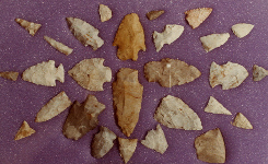 arrowhead collection