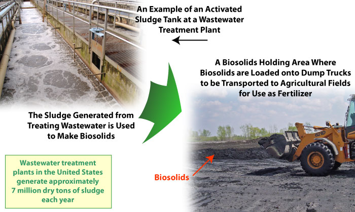 Northern Virginia has few manufacturing facilities with industrial waste going into the sewer pipes, so biosolids should have relatively low levels of heavy metals and toxic chemicals - but may include organic chemicals from personal care products and drugs used by humans (including birth control pills)
