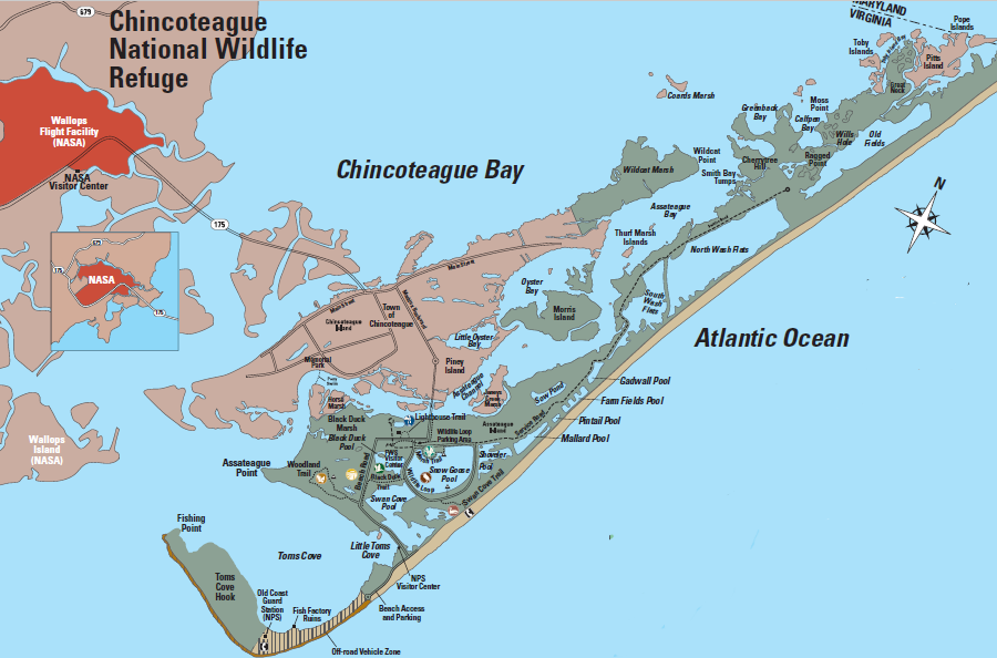 every US citizen owns property on the Eastern Shore of Virginia at Chincoteague National Wildlife Refuge