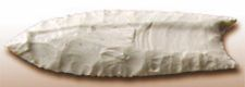 Clovis points have a groove of rock removed in the middle