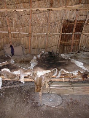 deer skins inside a Totero dwelling