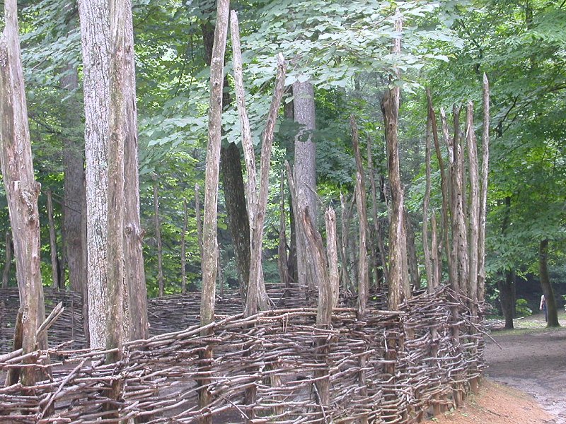 reconstruction of Native American pallisade (protective barrier) at Monacan village in Natural Bridge