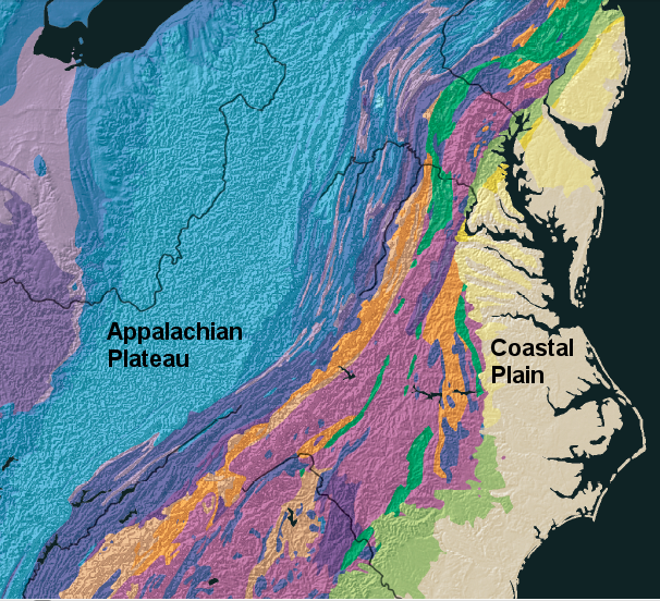 Virginia bedrock is not uniform; various formations are exposed at the surface between the Coastal Plain on the East and the Appalachian Plateau in West Virginia