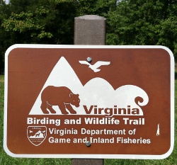 Virginia Birding and Wildlife Trail, an ecotourism initiative, encourages visitors to stay a little longer, see a little more - and spend a little more too