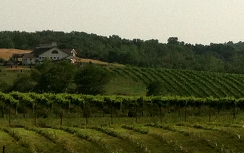 Barrel Oak Winery (Fauquier County)