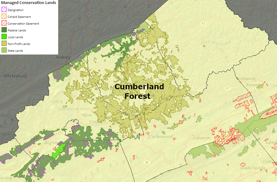 The Nature Conservancy's Cumberland Forest project has protected many acres in Southwestern Virginia, especially Dickinson County