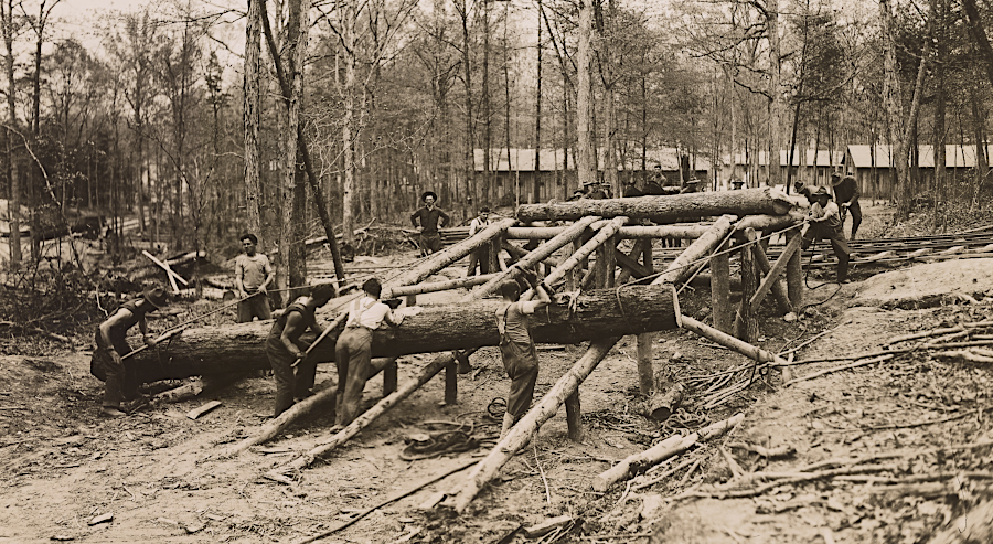 using the railroad to move logs at Camp A.A. Humphreys