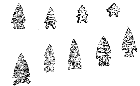 Palmer/Kirk and other notched points developed in Archaic Period