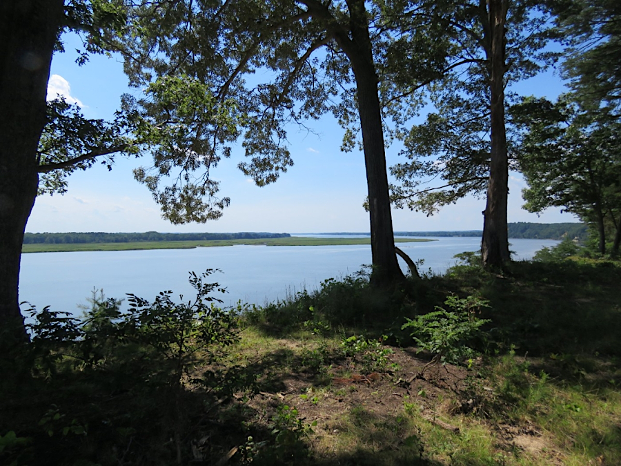 view of marshes on the southern bank of the Rappahannock River, from top of Fones Cliff