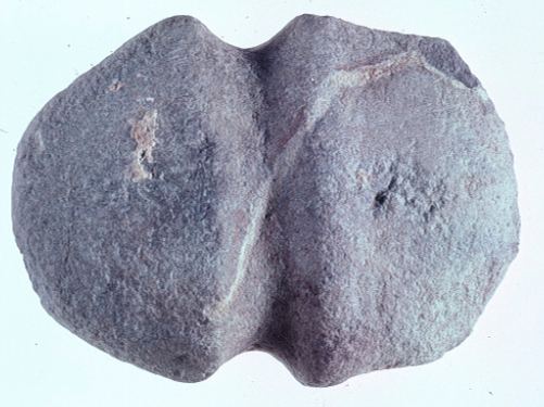 pottery replaced carved soapstone for containers, but stone and bone tools were still essential for other purposes such as clubs