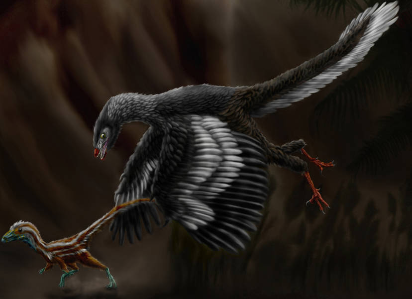 Archaeopteryx hunting a young compsognathid in a dark forest