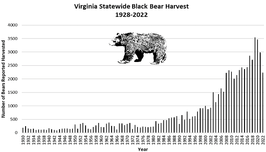 Bears in Virginia