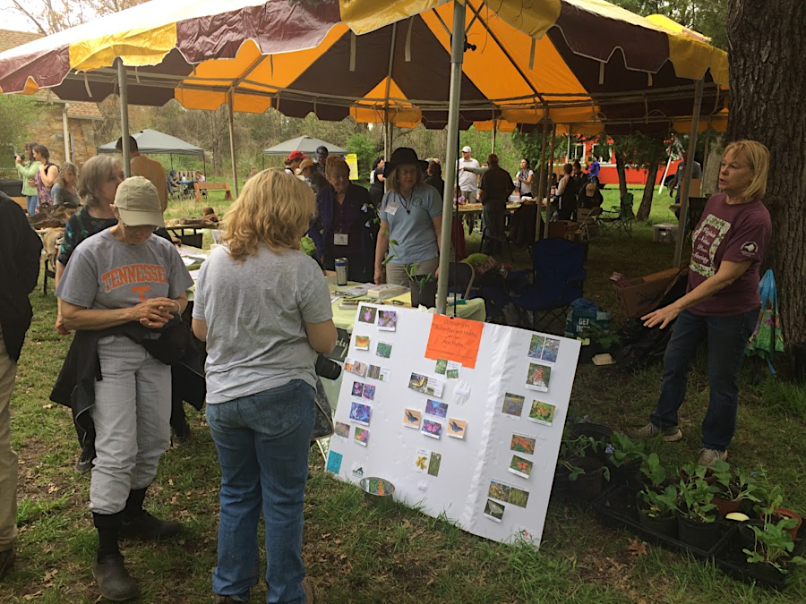 an annual Bluebell Festival gets the general public to visit Merrimac Farm Wildlife Management Area in Prince William County