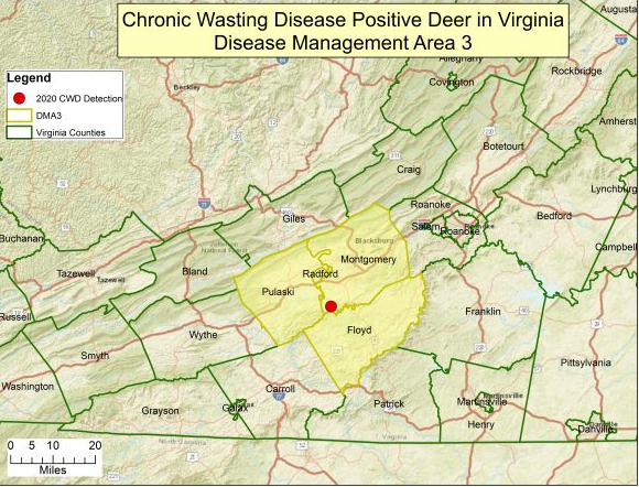 Disease Management Area 3 was created in 2021, after discovering Chronic Wasting Disease in a deer from Montgomery County