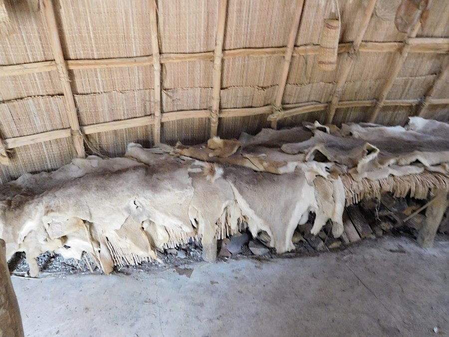 Native Americans used deer skins for clothing and bedding, and covered the exterior of their houses with reeds and bark
