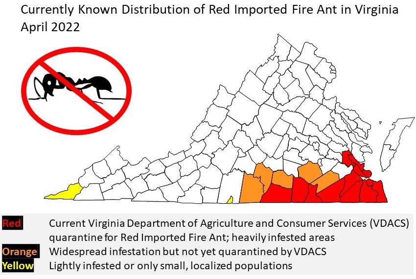 fire ants have arrived in Virginia