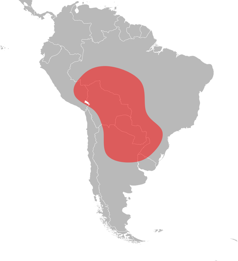 the native range of fire ants (Solenopsis invicta) is in South America