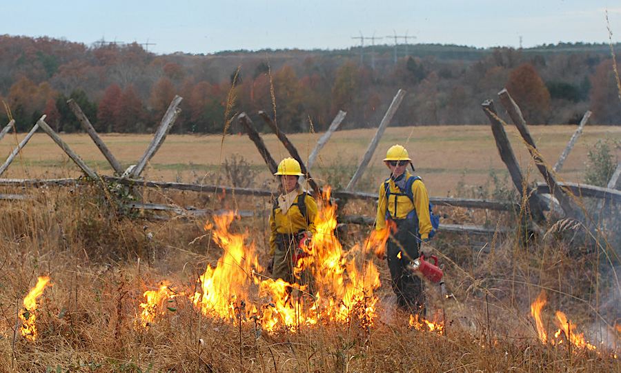 the National Park Service uses fire to maintain historic viewsheds, with open fields rather than forests, at Manassas National Battlefield Park