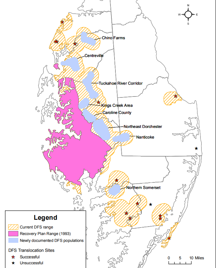 by 1993, wildlife agencies could see expansion of the Delmarva fox squirrel (DFS) range due to successful relocation efforts