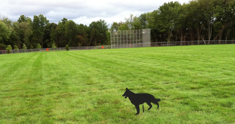 metal cutout of dog swinging on spring, used to protect newly-planted grass from Canada geese at Tyler Elementary School (Town of Haymarket)