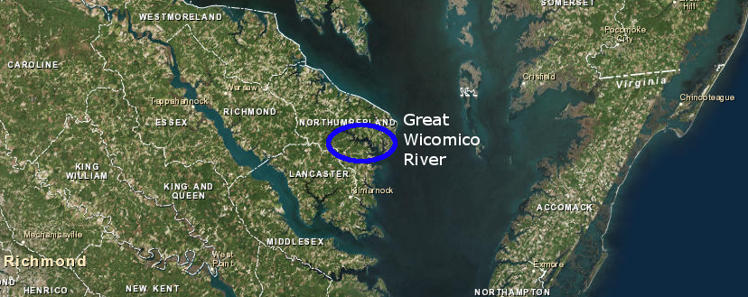 less than 100 acres in an oyster sanctuary on Great Wicomico River has more oysters than all 270,000 acres of public oyster grounds in Maryland, demonstrating the productivity of vertical reefs undamaged by harvesting