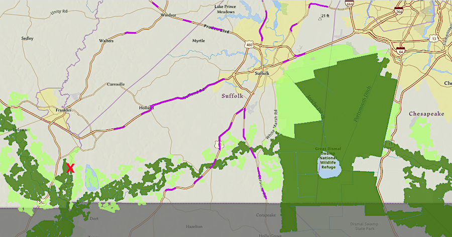 state agencies prioritized acquisition of longleaf habitat in a wildlife corridor between South Quay Sandhills Natural Area Preserve (red X) and Great Dismal Swamp