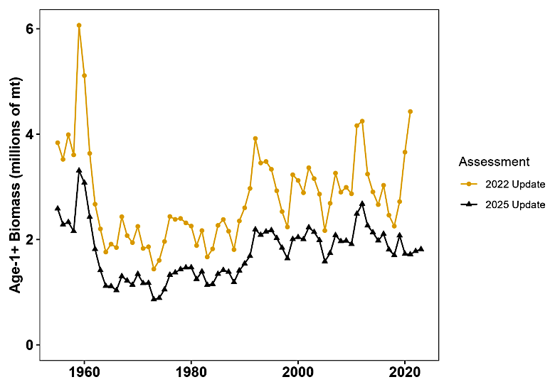 the estimate of menhaden biomass produced for the Atlantic States Marine Fisheries Commission declined 37% between 2022-2025