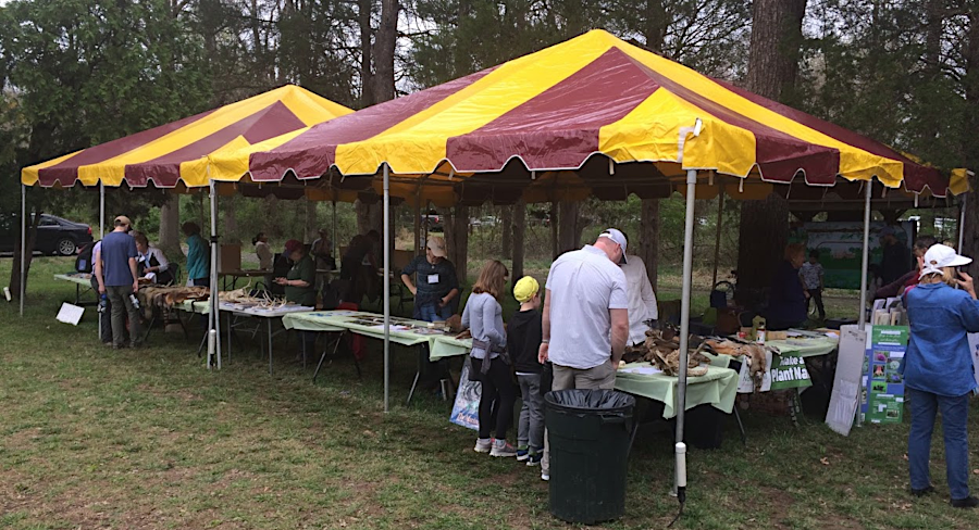 an annual Bluebell Festival gets the general public to visit Merrimac Farm Wildlife Management Area in Prince William County