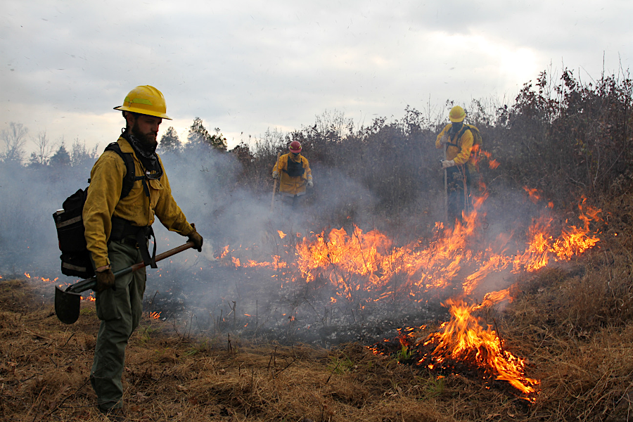 areas to be burned in a prescribed fire are isolated by firebreaks, with a team of firefighters to prevent escape to areas not planned to be burned