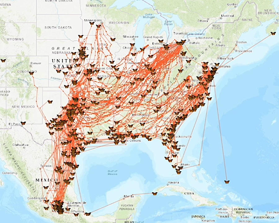 new sensors allowed tracking of individual monarchs migrating in Fall 2025