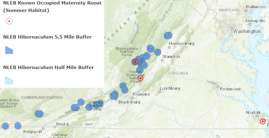 where northern long-eared bats roost and breed in Virginia