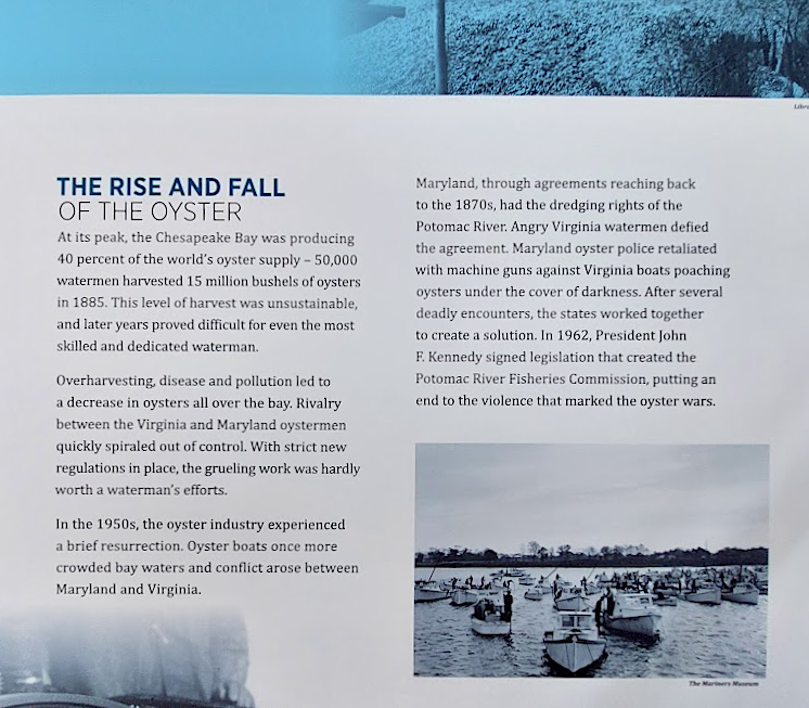 an exhibit at Belle Isle State Park visitor center summarizes the decline of the oyster population 