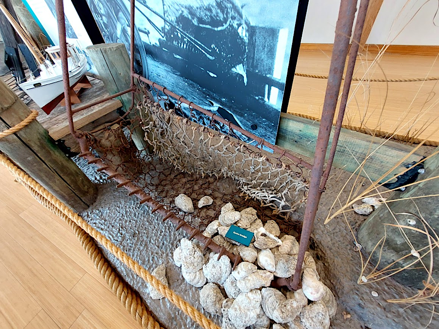 oyster tong and dredge at Belle Isle State Park visitor center