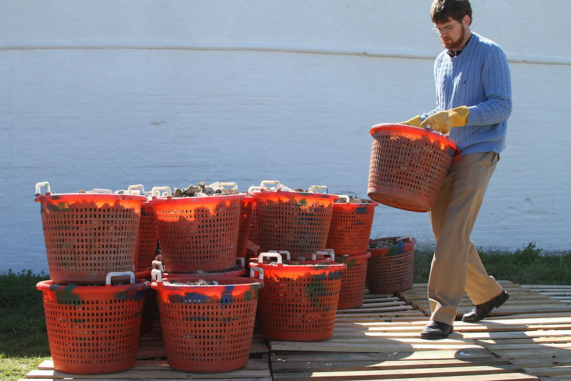 fourth graders from Virginia Beach's Seatack Elementary School partnered with the Corps of Engineers to grow 60 bushels of oysters in 2011-12 for a reef in the Elizabeth River