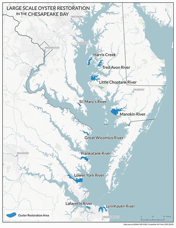 in the 2014 Chesapeake Bay Watershed Agreement, Virginia committed to create healthy, functioning oyster reefs in five tributaries by 2025