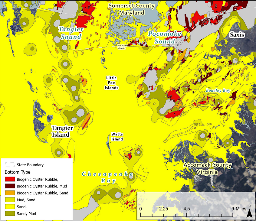 mapping the bottom of the Chesapeake Bay facilitated identifying the best sites for planting new oyster reefs
