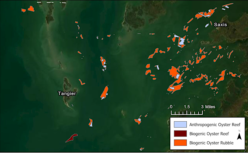 mapping the bottom of the Chesapeake Bay facilitated identifying the best sites for planting new oyster reefs