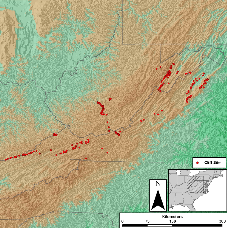 six areas were identified as most suitable for reintroduction, from the many cliff faces mapped in Virginia/West Virginia in 2006