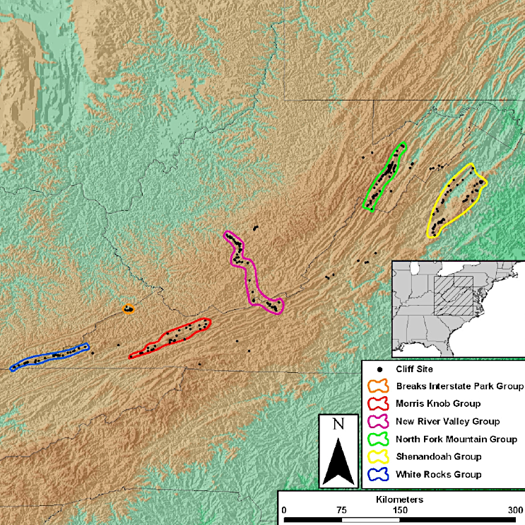 six areas were identified as most suitable for reintroduction, from the many cliff faces mapped in Virginia/West Virginia in 2006