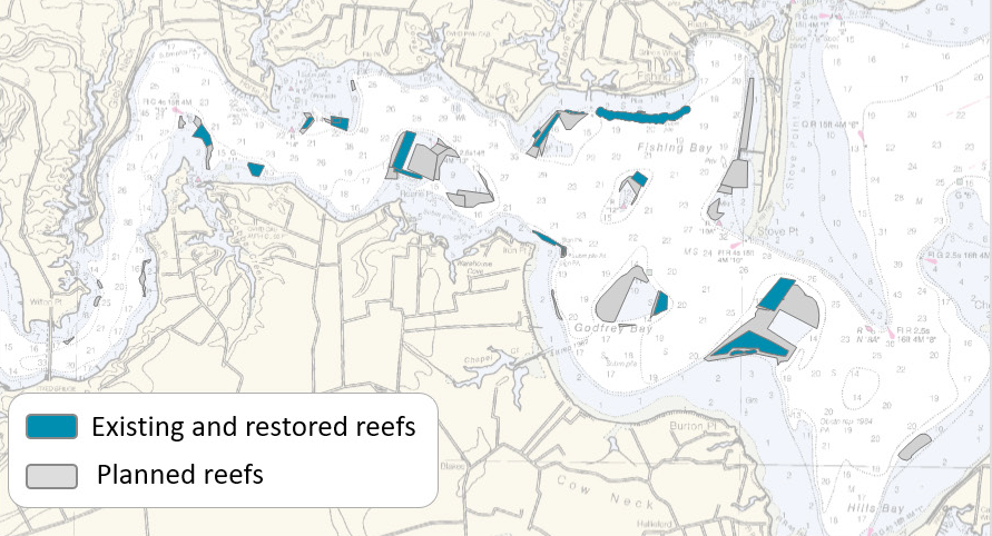 the plan to restore 438 acres of oyster reef on the Piankatank River was the largest such project in the world