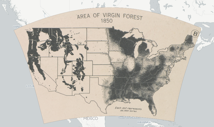 by 1850, the original forests in the Tidewater and Piedmont regions had been cleared for agriculture