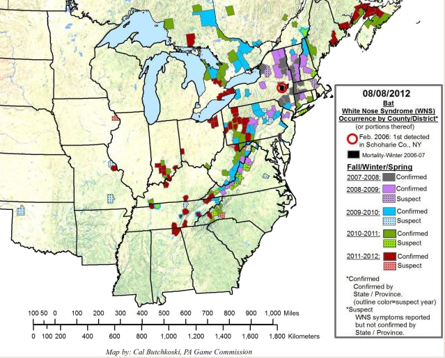 expansion of white-nose syndrome in 2012
