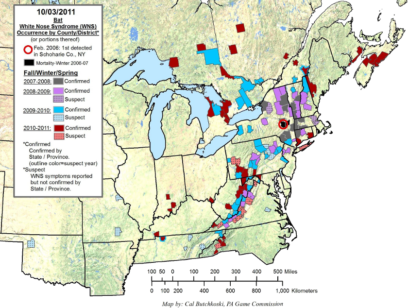 white-nose syndrome in 2011