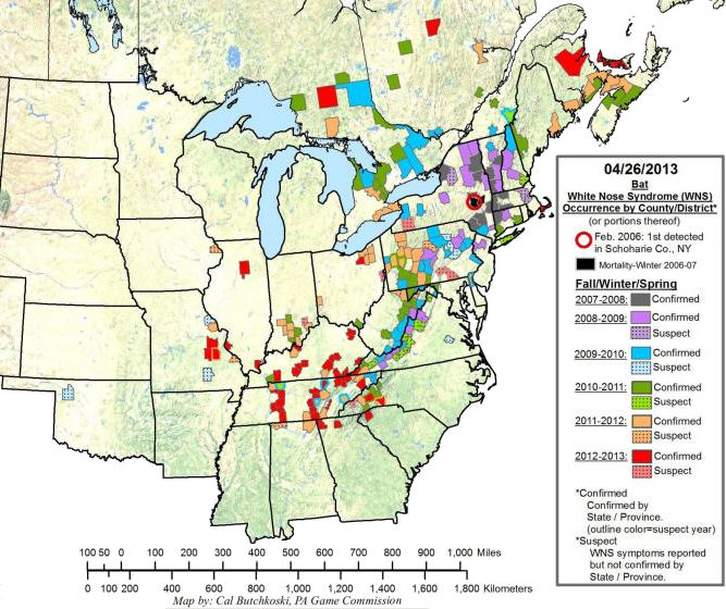 expansion of white-nose syndrome in 2013