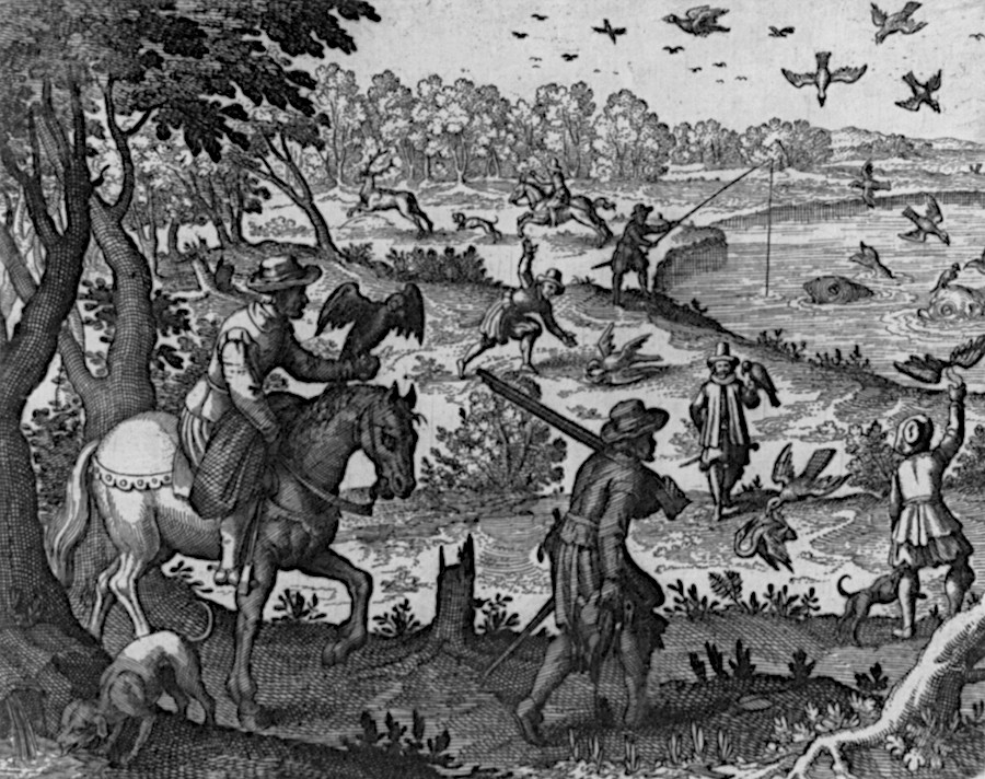 early English colonists were delighted at the large numbers of wildlife in Virginia