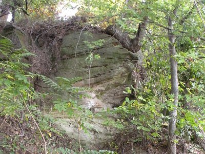 Freestone Point sedimentary layers and soft sandstone at Leesylvania State Park